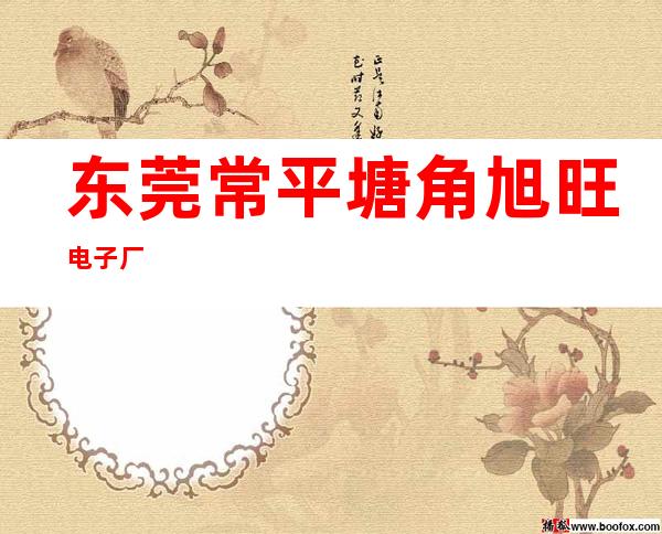 东莞常平塘角旭旺电子厂